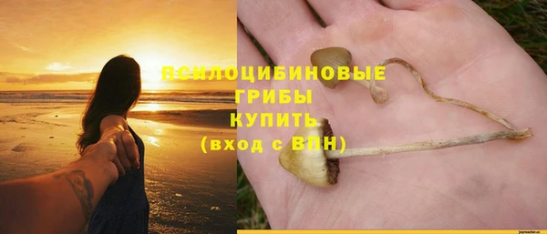 тгк Богданович